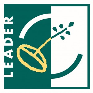 leader logó